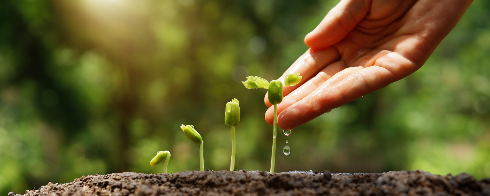Lead Nurture in Marketo